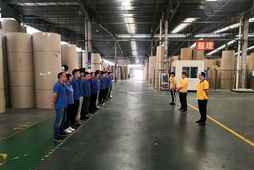 花園建材榮膺東陽市中小企業(yè)市長科技創(chuàng)新獎(jiǎng)，引領(lǐng)行業(yè)綠色轉(zhuǎn)型新篇章